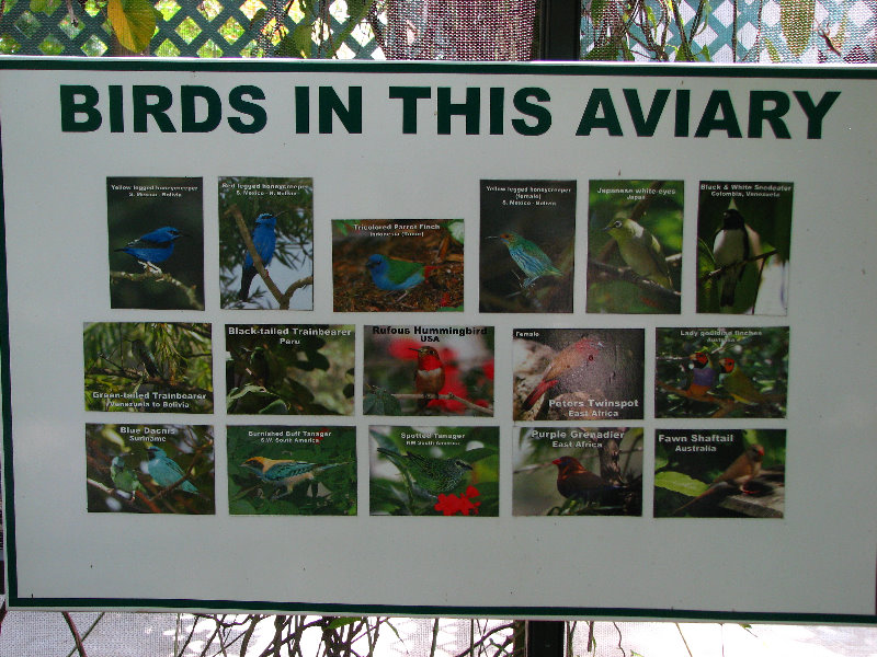 Butterfly-World-Coconut-Creek-FL-132