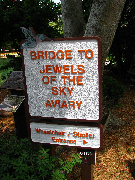 Butterfly-World-Coconut-Creek-FL-144