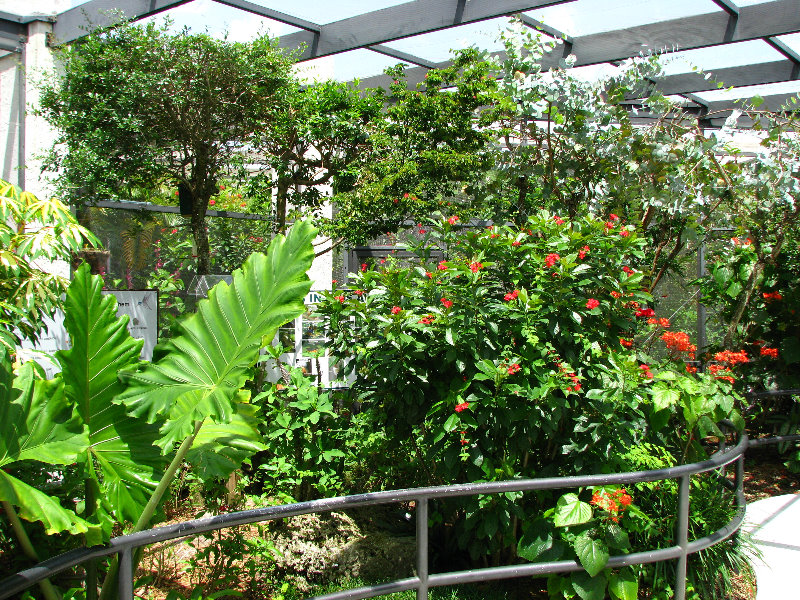 Butterfly-World-Coconut-Creek-FL-177