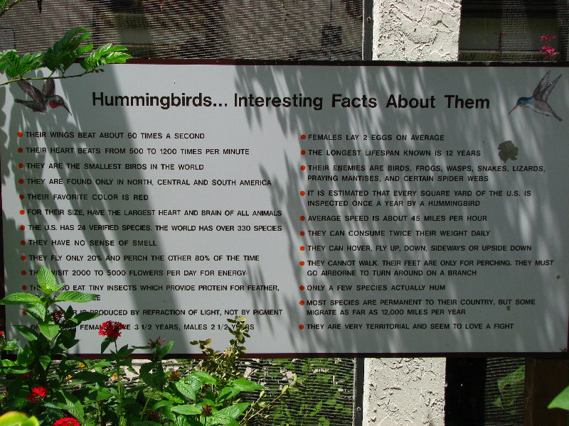 Butterfly-World-Coconut-Creek-FL-179