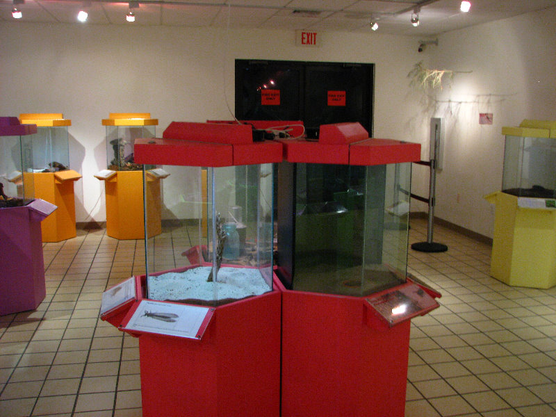 Butterfly-World-Coconut-Creek-FL-194