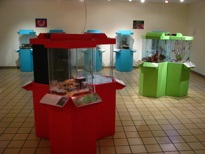 Butterfly-World-Coconut-Creek-FL-200