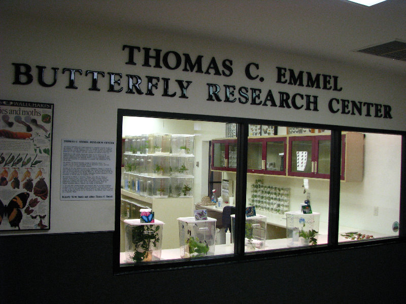 Butterfly-World-Coconut-Creek-FL-210