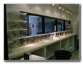 Butterfly-World-Coconut-Creek-FL-005