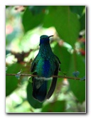 Butterfly-World-Coconut-Creek-FL-011
