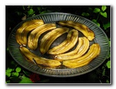 Butterfly-World-Coconut-Creek-FL-012