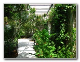 Butterfly-World-Coconut-Creek-FL-013