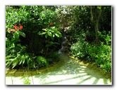 Butterfly-World-Coconut-Creek-FL-061