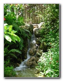 Butterfly-World-Coconut-Creek-FL-062