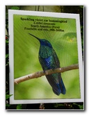 Butterfly-World-Coconut-Creek-FL-063