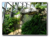 Butterfly-World-Coconut-Creek-FL-066