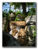 Butterfly-World-Coconut-Creek-FL-069