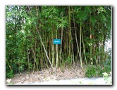 Butterfly-World-Coconut-Creek-FL-072