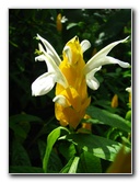 Butterfly-World-Coconut-Creek-FL-093