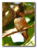 Butterfly-World-Coconut-Creek-FL-100