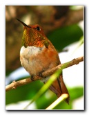 Butterfly-World-Coconut-Creek-FL-106