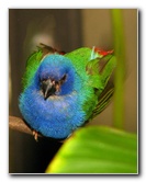 Butterfly-World-Coconut-Creek-FL-107