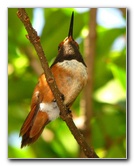 Butterfly-World-Coconut-Creek-FL-120