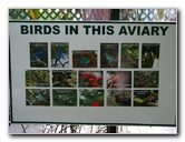 Butterfly-World-Coconut-Creek-FL-132