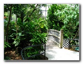 Butterfly-World-Coconut-Creek-FL-133