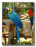 Butterfly-World-Coconut-Creek-FL-149