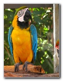 Butterfly-World-Coconut-Creek-FL-150