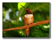 Butterfly-World-Coconut-Creek-FL-168