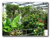 Butterfly-World-Coconut-Creek-FL-177