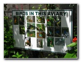 Butterfly-World-Coconut-Creek-FL-180