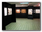 Butterfly-World-Coconut-Creek-FL-187