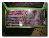 Butterfly-World-Coconut-Creek-FL-192