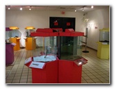 Butterfly-World-Coconut-Creek-FL-194