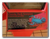 Butterfly-World-Coconut-Creek-FL-201