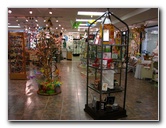 Butterfly-World-Coconut-Creek-FL-209