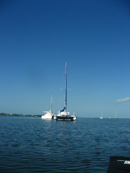 Buttonwood-Sound-Kayaking-Key-Largo-FL-001