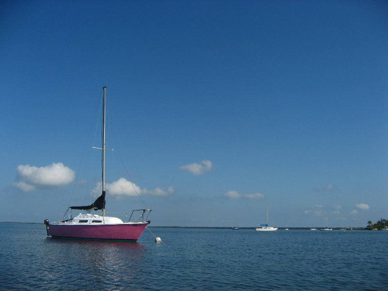 Buttonwood-Sound-Kayaking-Key-Largo-FL-006