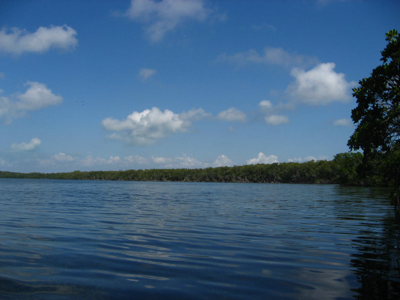 Buttonwood-Sound-Kayaking-Key-Largo-FL-020