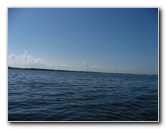 Buttonwood-Sound-Kayaking-Key-Largo-FL-010