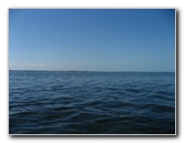 Buttonwood-Sound-Kayaking-Key-Largo-FL-011