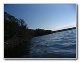 Buttonwood-Sound-Kayaking-Key-Largo-FL-014