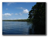 Buttonwood-Sound-Kayaking-Key-Largo-FL-019