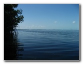 Buttonwood-Sound-Kayaking-Key-Largo-FL-029