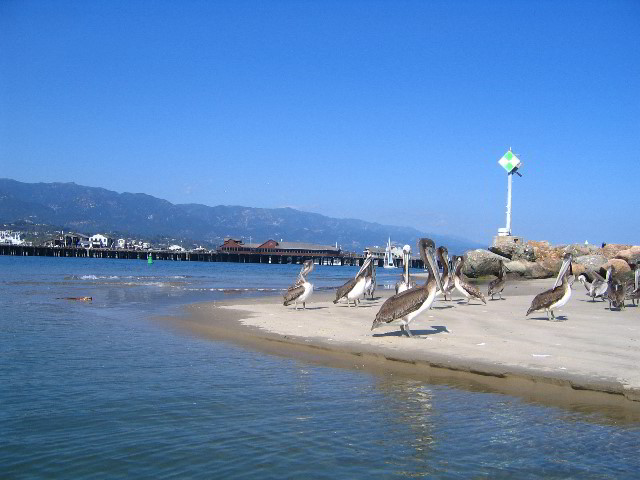 Santa-Barbara-Kayaking-14