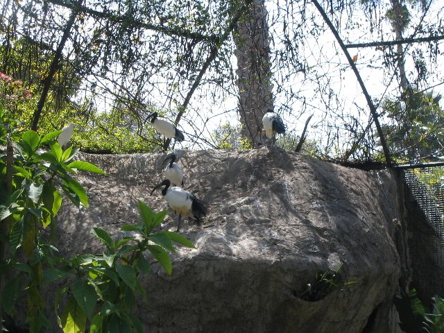 Santa-Barbara-Zoo-01