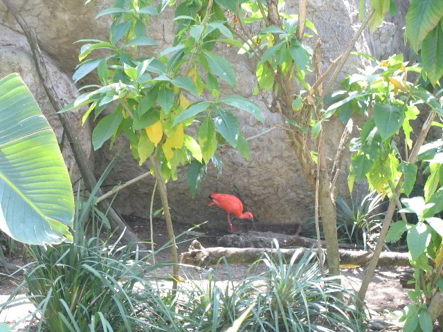 Santa-Barbara-Zoo-03