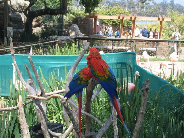 Santa-Barbara-Zoo-06