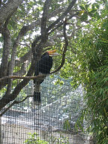 Santa-Barbara-Zoo-20