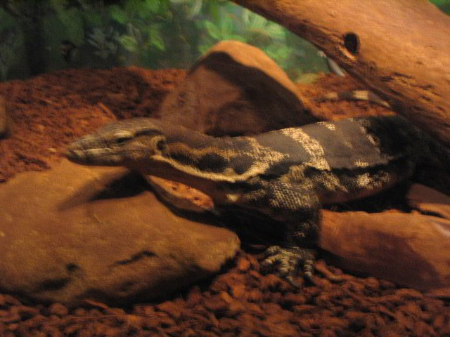Santa-Barbara-Zoo-26