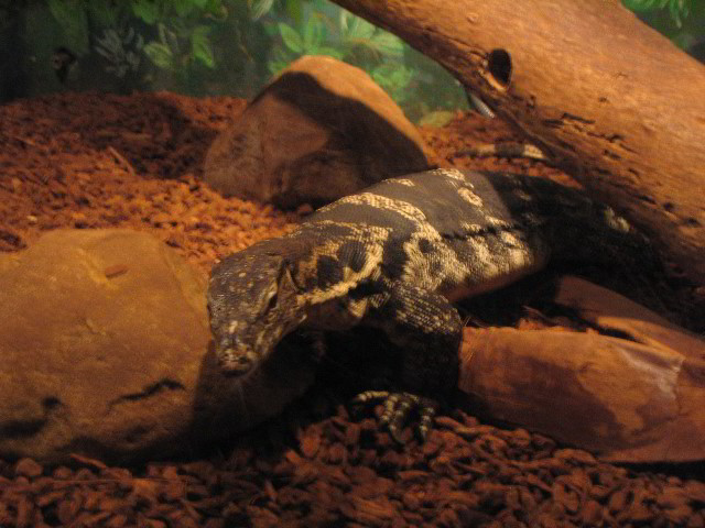Santa-Barbara-Zoo-27