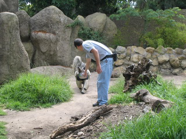 Santa-Barbara-Zoo-32